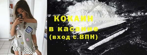 стафф Алзамай